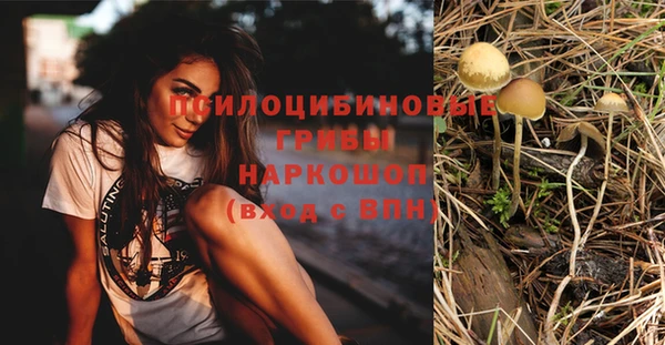 бошки Гусь-Хрустальный