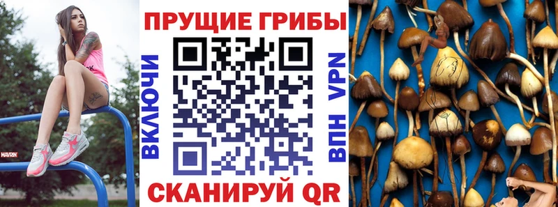 Псилоцибиновые грибы прущие грибы Монино